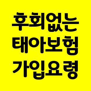  계약자에게 유리한 태아보험 가입요령 확인하기