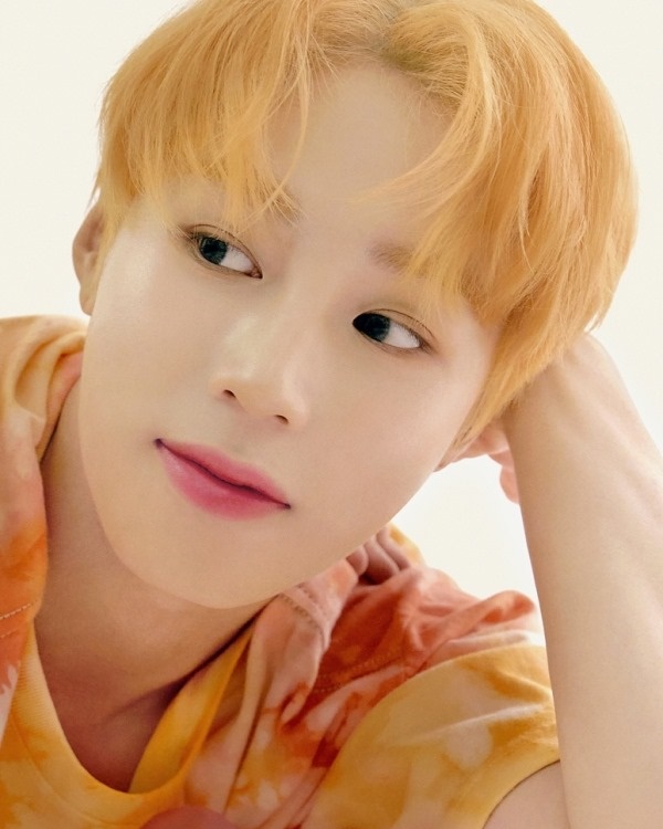  하성운 립틴트 모델