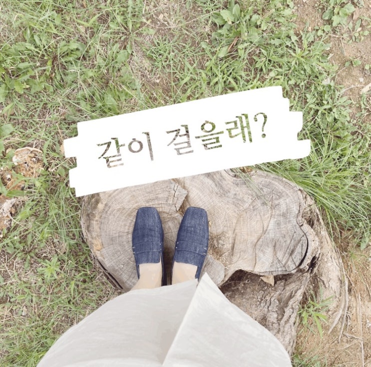  동동이의 동네 한 바퀴 
