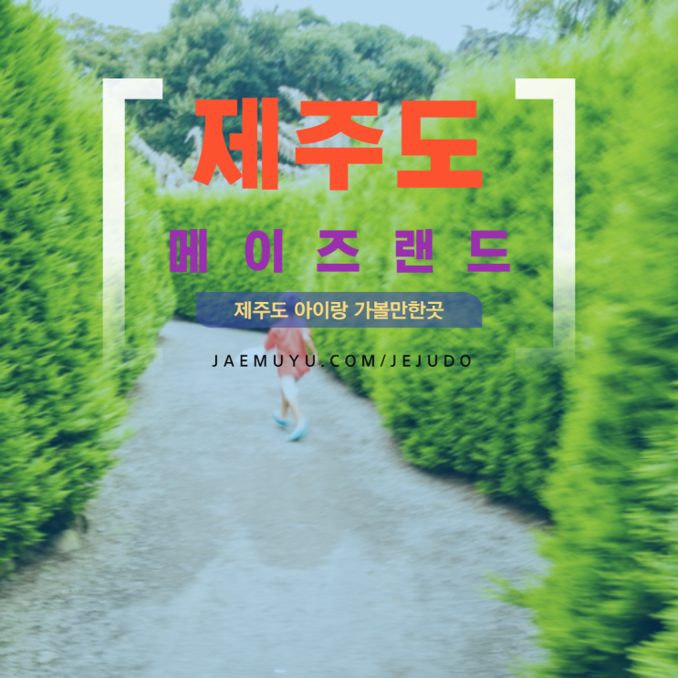 제주도여행 제주도 아이랑 가볼만한곳 메이즈랜드 제주도여행 제주도 아이랑 가볼만한곳 메이즈랜드