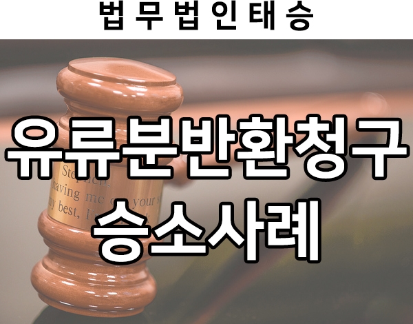  사망후상속, 남동생들을 상대로 한 유류분반환청구 승소사례