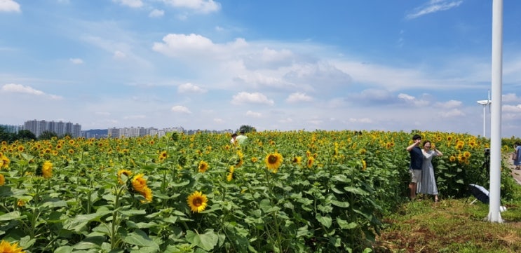 안성 가볼만한곳. 칠곡해물칼국수원곡점과 안성팜랜드 방문~(20.07.04.토)
