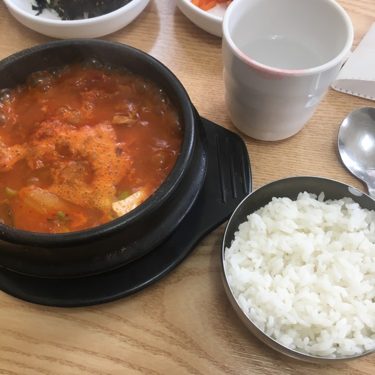  제주도 여자끼리 여름 바다 보고 오기
