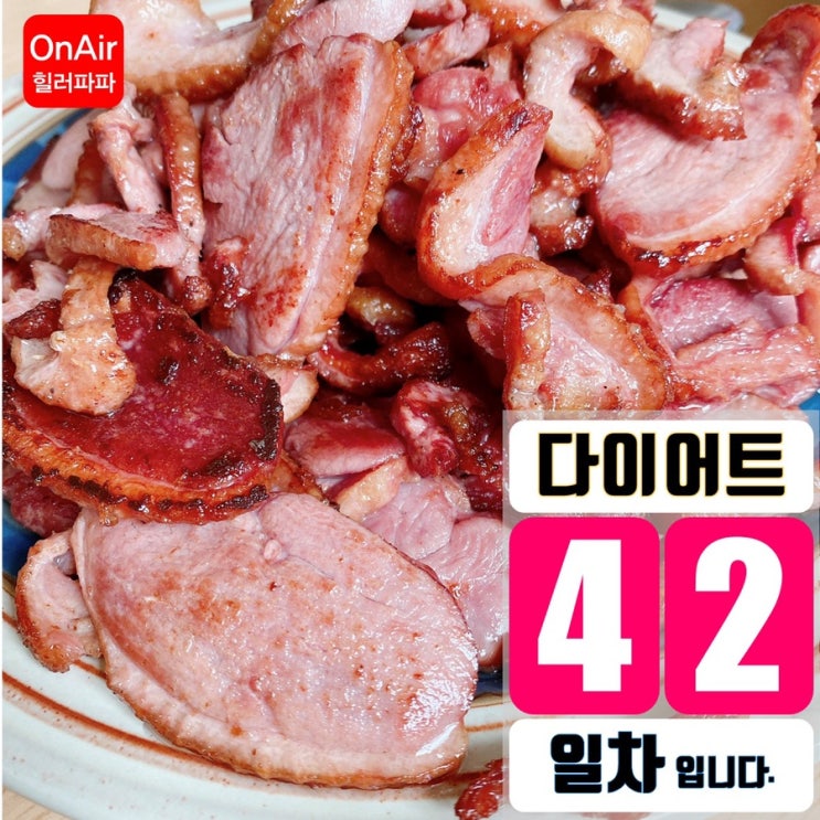 야식 끊기 야식 끊음 - 42일차 다이어트식단