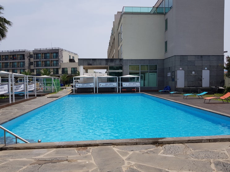 제주 공항 숙소 추천 가성비 최고 실내 수영장 있는 제주 아모렉스 리조트 제주 공항 숙소 추천 가성비 최고 실내 수영장 있는 제주 아모렉스 리조트