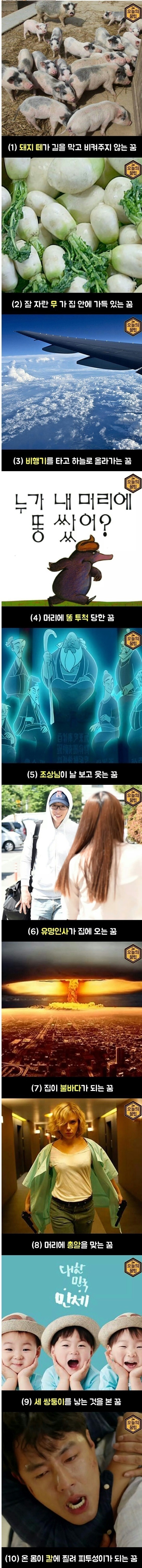  이꿈을 꾸면 바로 로또를 사러가야 됩니다.