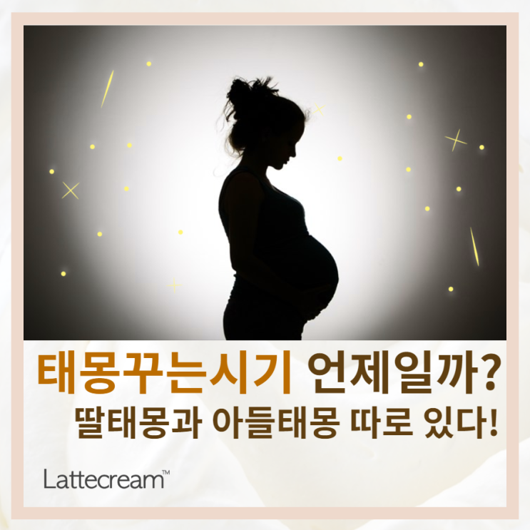  태몽 꾸는 시기 언제일까? 딸 태몽과 아들 태몽 구별하기
