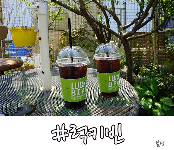  분당 카페, 아이스 더치커피 인정! 궁내동 럭키빈