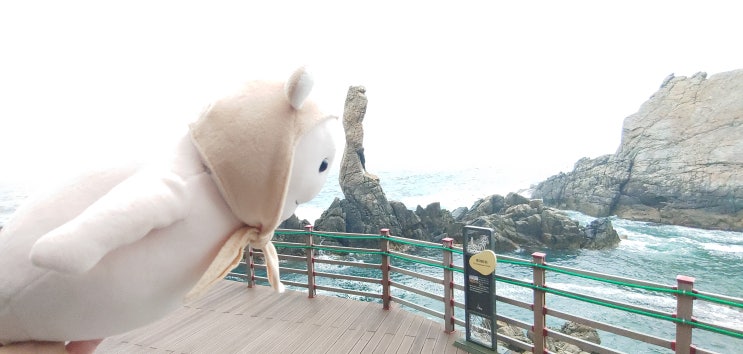  [삼척여행] 초곡 용굴촛대바위길