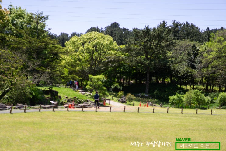  언제 가도 좋은 곳 "한라수목원" [제주도 한달살기 숙소 씨사이드 이든 추천]