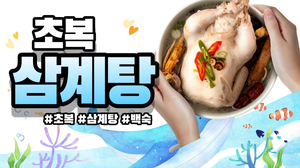 [ENG] 초복! 집에서 간단하게 삼계탕 해먹어요  "Samgyetang" for Hot Summer