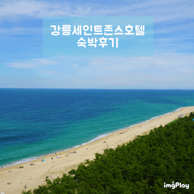강릉 세인트존스호텔 내돈내산 리얼 숙박후기 [룸상태,체크인아웃,수영장,주변술집,놀거리]