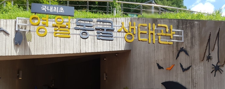  가보고픈 영월, 영월동굴생태관과 칡국수(영월 추천 여행지)