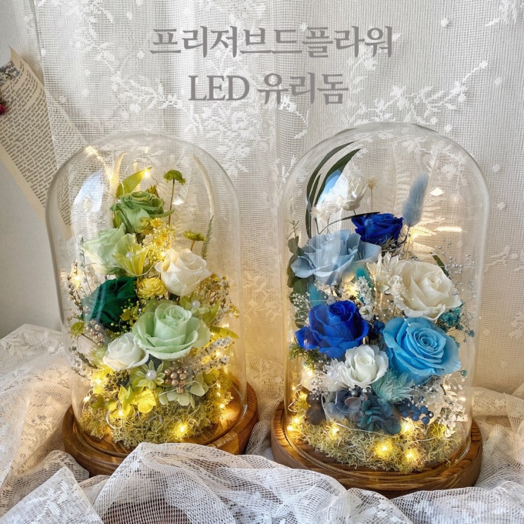 반짝반짝 시들지않는 프리저브드플라워 유리돔/무드등 특대사이즈 :: 부산 수영 해운대 플라워스튜디오 Ohanaflower 반짝반짝 시들지않는 프리저브드플라워 유리돔/무드등 특대사이즈 :: 부산 수영 해운대 플라워스튜디오 Ohanaflower