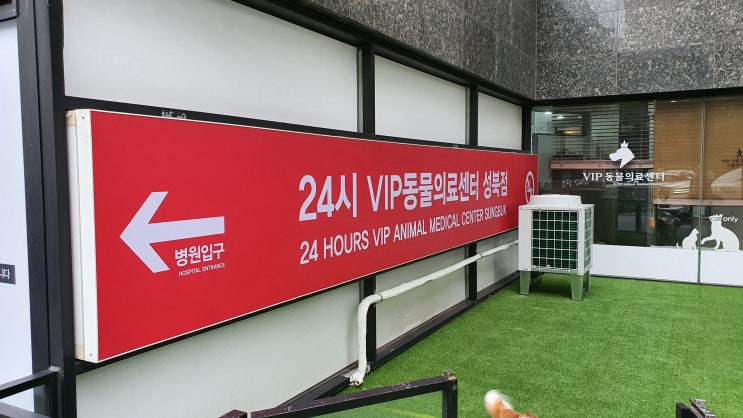  강아지 안과전문동물병원 24시 VIP동물의료센터 성북점