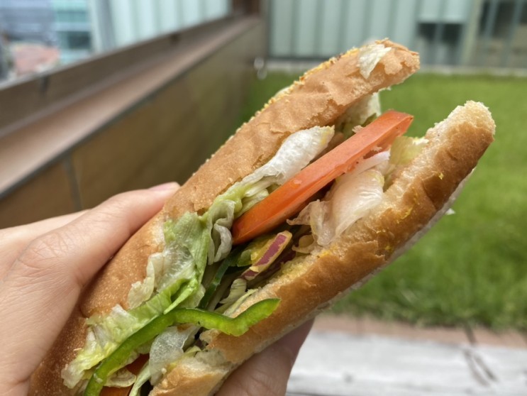 채식다이어트 | 서브웨이 비건 베지 샌드위치, 순두부찌개, 하이트제로, 크로스핏분당
