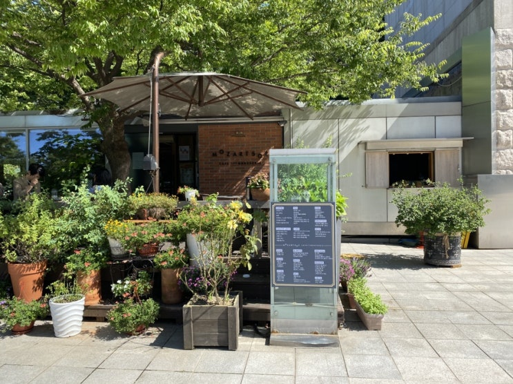  예술의 전당 맛집 모짜르트 카페 - 부자가 되자!