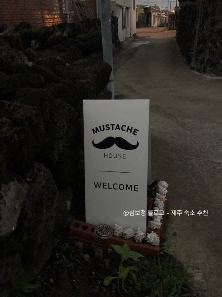  #제주도 감성숙소 추천 (한림읍) 2020 제주 웨딩 스냅 촬영 여행