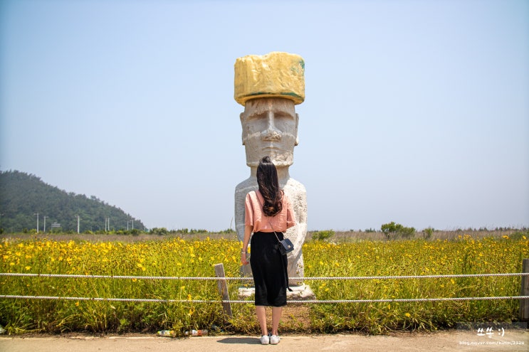  군산 신흥동 일본식 가옥, 초원사진관, 새만금 방조제 여행코스