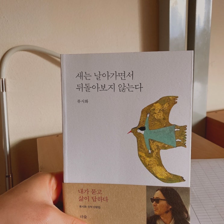  새는 날아가면서 뒤돌아보지 않는다 