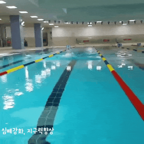 [건강한 살빼기/천안] "천안 한들문화센터" 수영장 오픈했어요