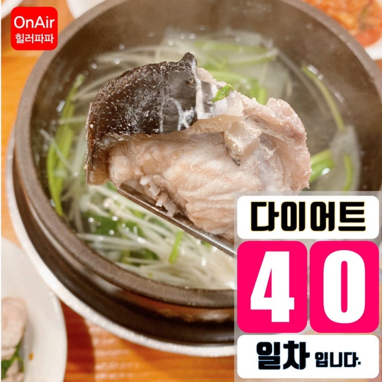 교대역 맛집 금수복국 - 40일차(월)