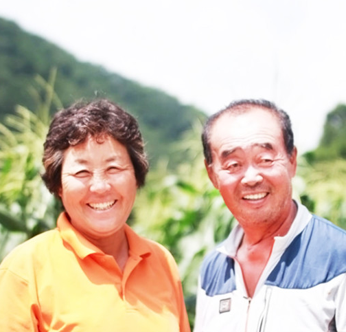  충북 괴산 대학 찰 옥수수, 농장 직거래 택배 주문 판매!