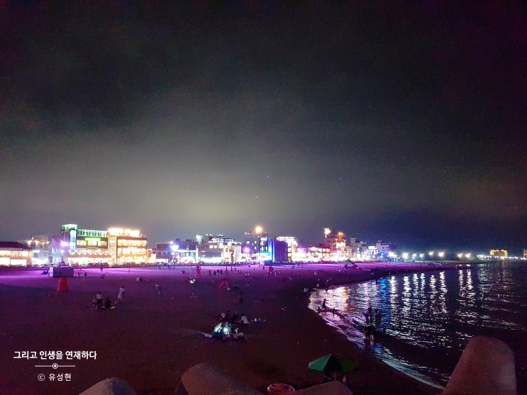  <Itinerary, 그리고 인생을 연재하다 166> 대화, 문장, 세포, 한계, 결혼
