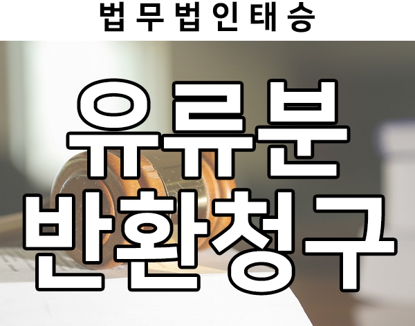  장남에게만 증여한 아파트, 유류분반환청구 성공사례