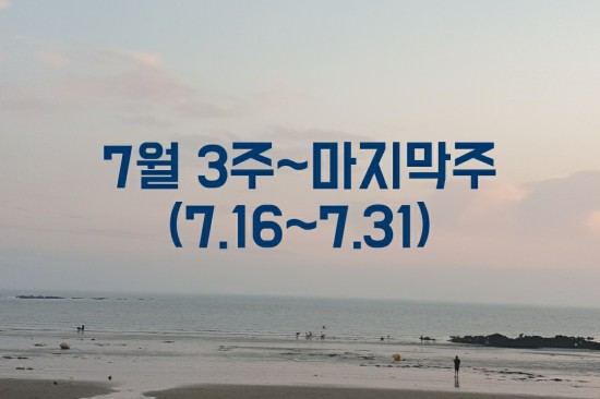 [태안] 휴가중 무료조개체험 해볼 때 안면도 물때표 참조 (7.16~7.31)