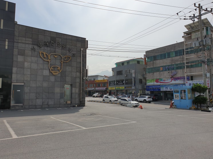  씹는 맛이 일품이 영월동강한우 치마살