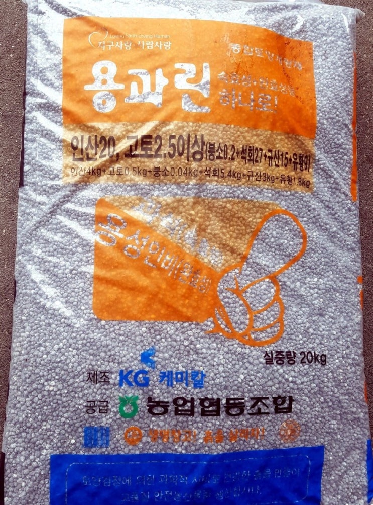  용과린 가격 효능 사용법 시비량