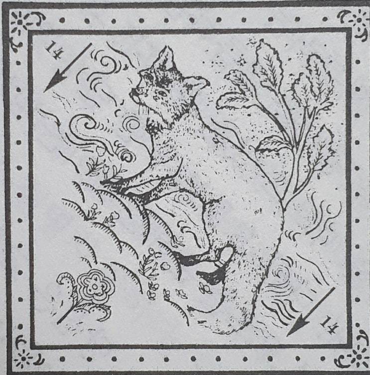  14. 여우(FOX)