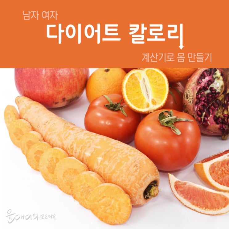  남자 여자 다이어트 칼로리 계산기로 멋진 몸매 만들기