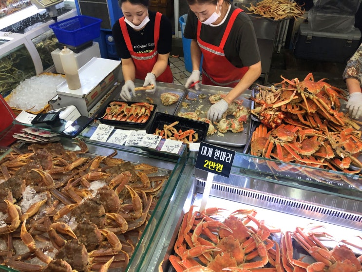  속초관광수산시장,여기 강원도먹거리천국 맞네요!