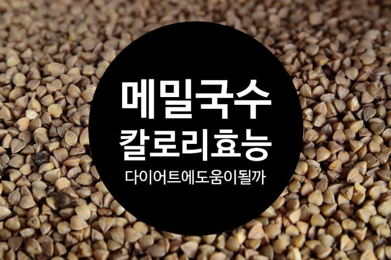 메밀국수 칼로리와 메밀의 효능 다이어트에 도움이 될까?