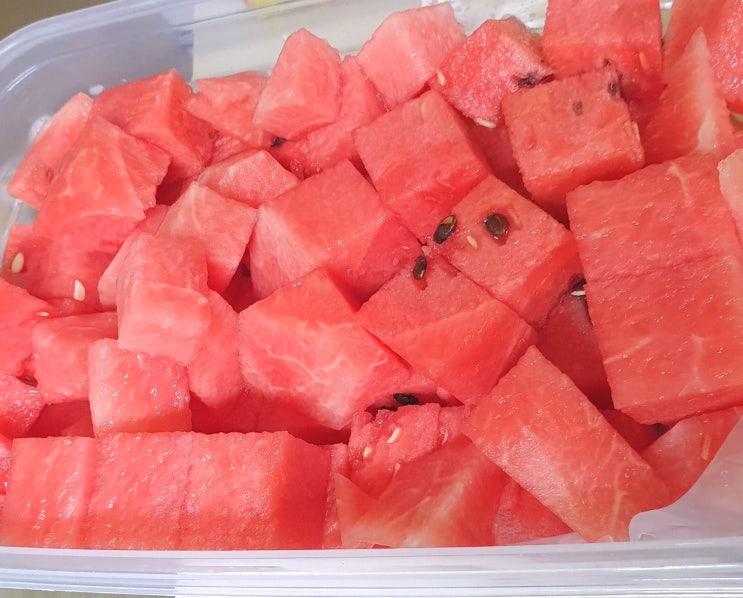 크고단수박 당도선별수박/맛있는수박고르는법!/맹동수박