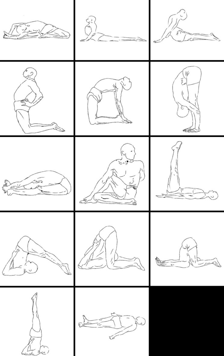  [책 출판]<<장발의 요가여행기>>2.저작권 문제 .요가시퀀스에는 저작권이 있을까?
