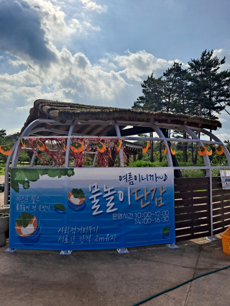  창원 가볼만한 곳 - 단감테마공원(7~8월 물총놀이 이벤트)
