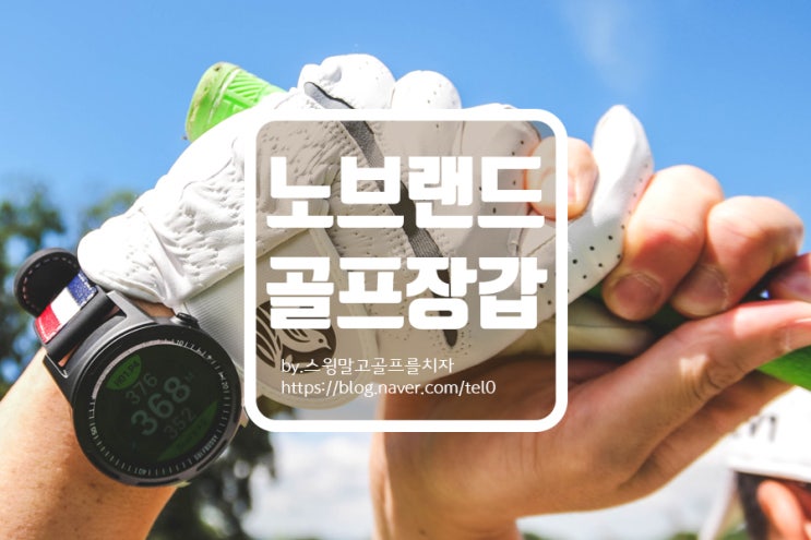  가성비 갑 노브랜드 골프장갑  내돈내산 솔직 리뷰