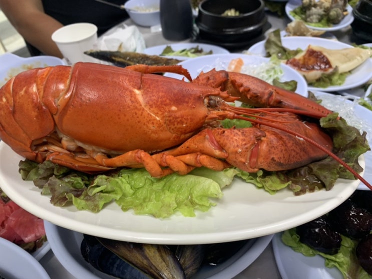  [인천/연안부두] 내고향강원도