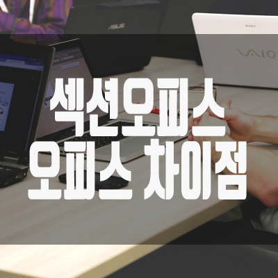 섹션오피스와 오피스의 차이점 섹션오피스와 오피스의 차이점