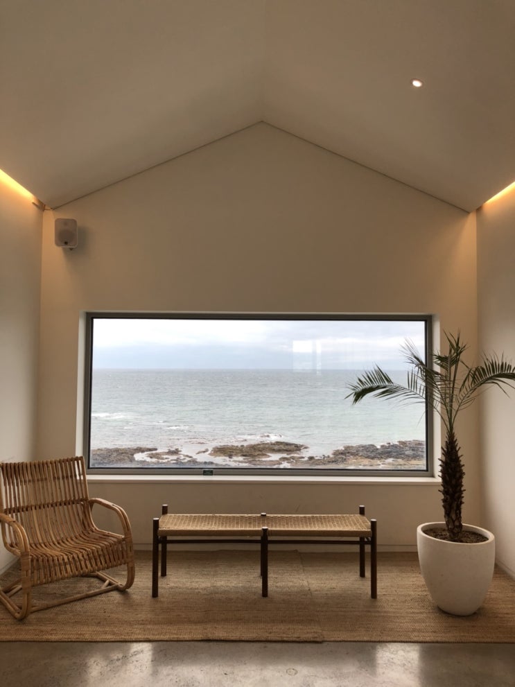 뷰스트 in 제주 뷰스트 in 제주