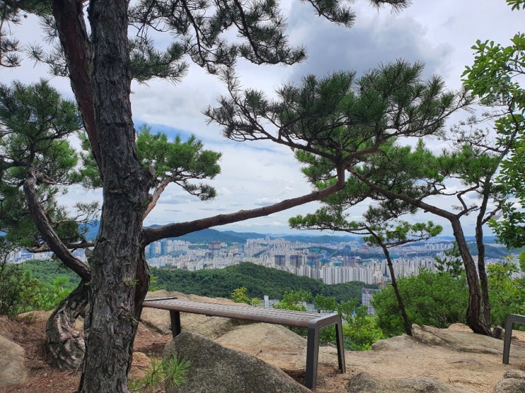 관악산자락 비봉산 정상에서 망해암까지 망해암에서 비봉산 정상까지 관악산 둘레길 토요트렉