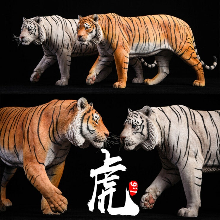 [프리뷰] 『JxK Studio』 1/6 The Tiger (호랑이 2종)