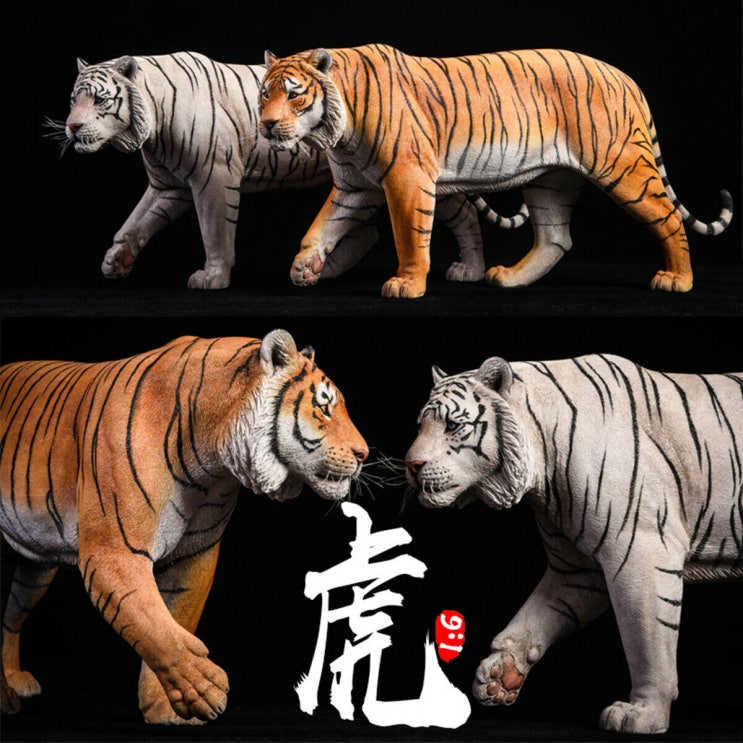  [프리뷰] 『JxK Studio』 1/6 The Tiger (호랑이 2종)