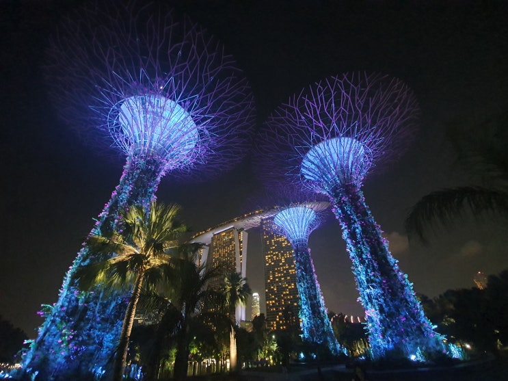  [매일 일기 쓰기] #56 Hey Kim, 이제 싱가포르로 다시 돌아올 시간이야~!