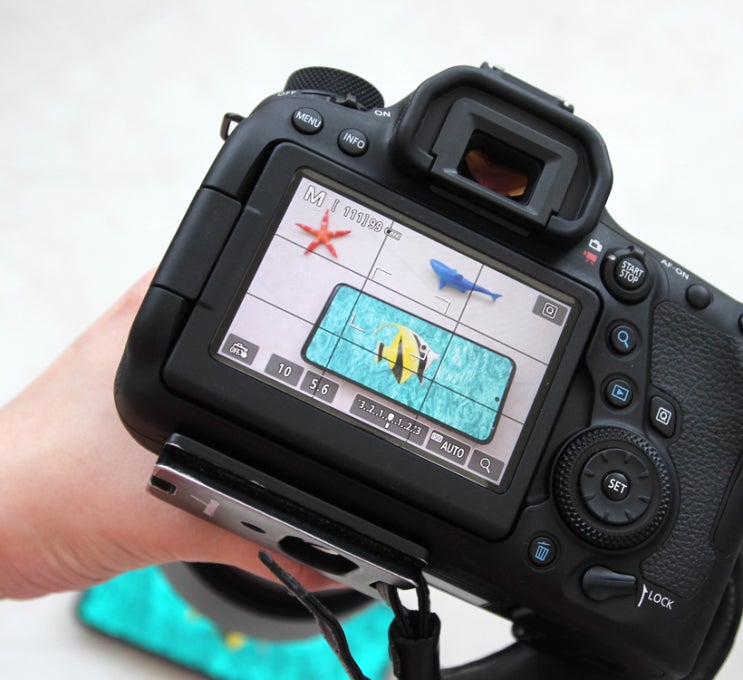  캐논카메라 6D MARK2 육두막 공부중