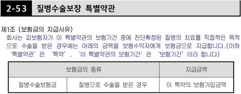 태아보험 질병수술담보 - 보장내용, 추천특약 사유 4