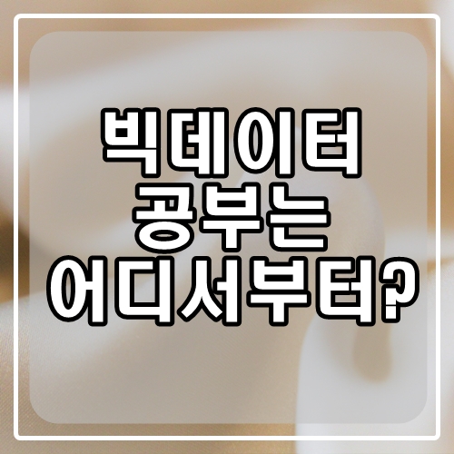  IT 빅데이터 분야로 취업하고 싶으면 뭐부터 공부해야할까?